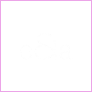 welcome to e&a